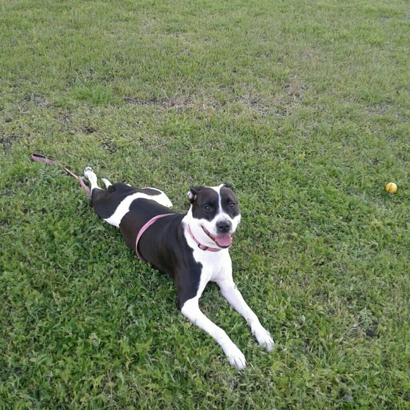 Meet your Posher, Wanda - Picture 1 of 1